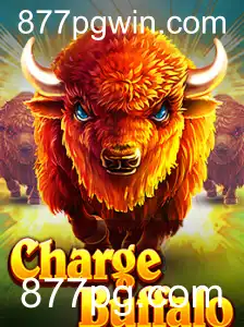 ChargeBuffalo: A New Wave in Gaming
